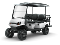 Gas Golf Carts for sale in Port Clinton, OH